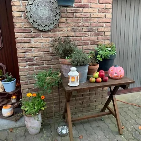 アパート In Belgian Eifel