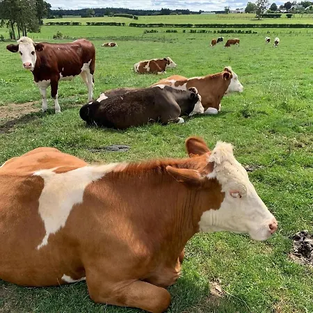 In Belgian Eifel * Bullange