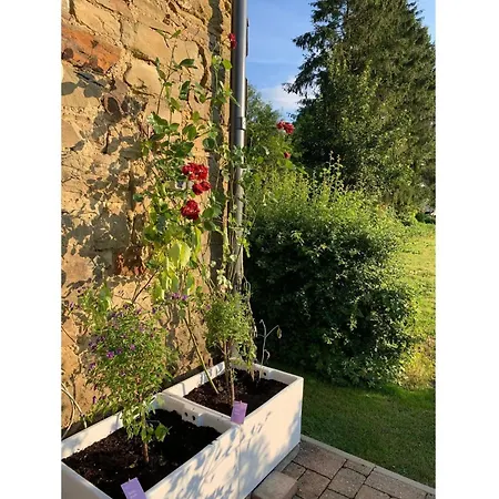 In Beautiful Huenningen Apartman *